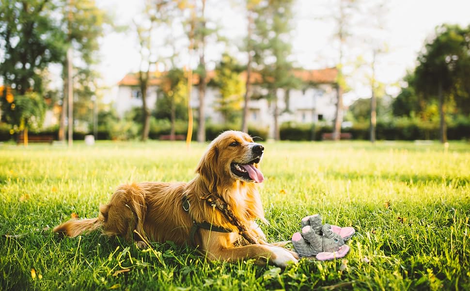 Elephant dog toys