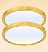 hykolity 12 Inch Selectable CCT LED Round Flat Panel Light, 24W 3000K/4000K/5000K, Edge-Lit Flush...