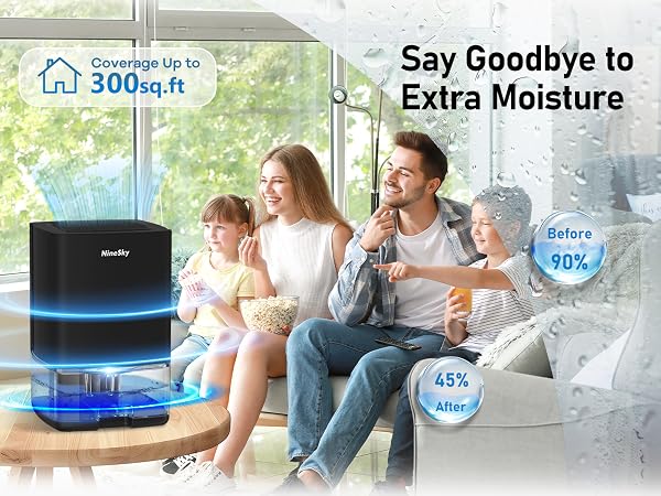 Dehumidifier