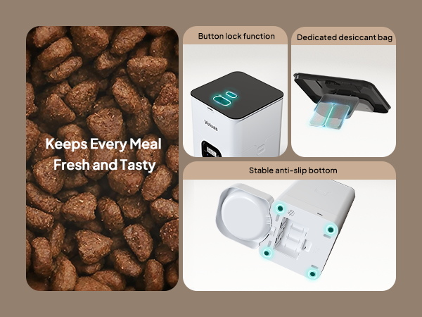 Automatic Cat Feeders