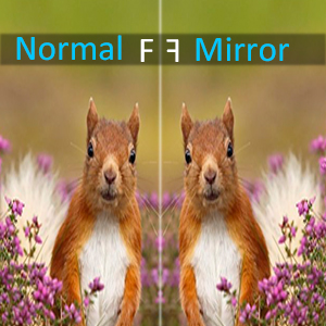 backup camera wireless