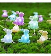 BOHON Easter Decoration Lights Rabbit LED String Lights Battery Operated with Remote 10 ft 40 LED...
