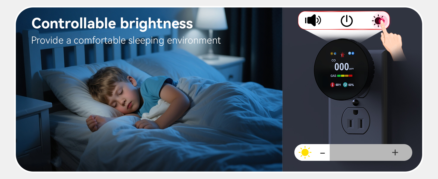 Gas &amp;amp;amp; Carbon Monoxide Detector