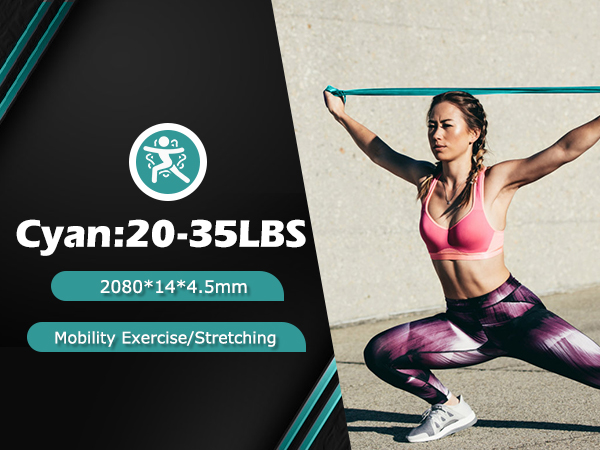 exercise bands resistance bands set