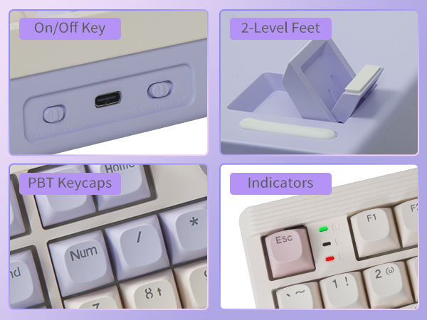 pbt
