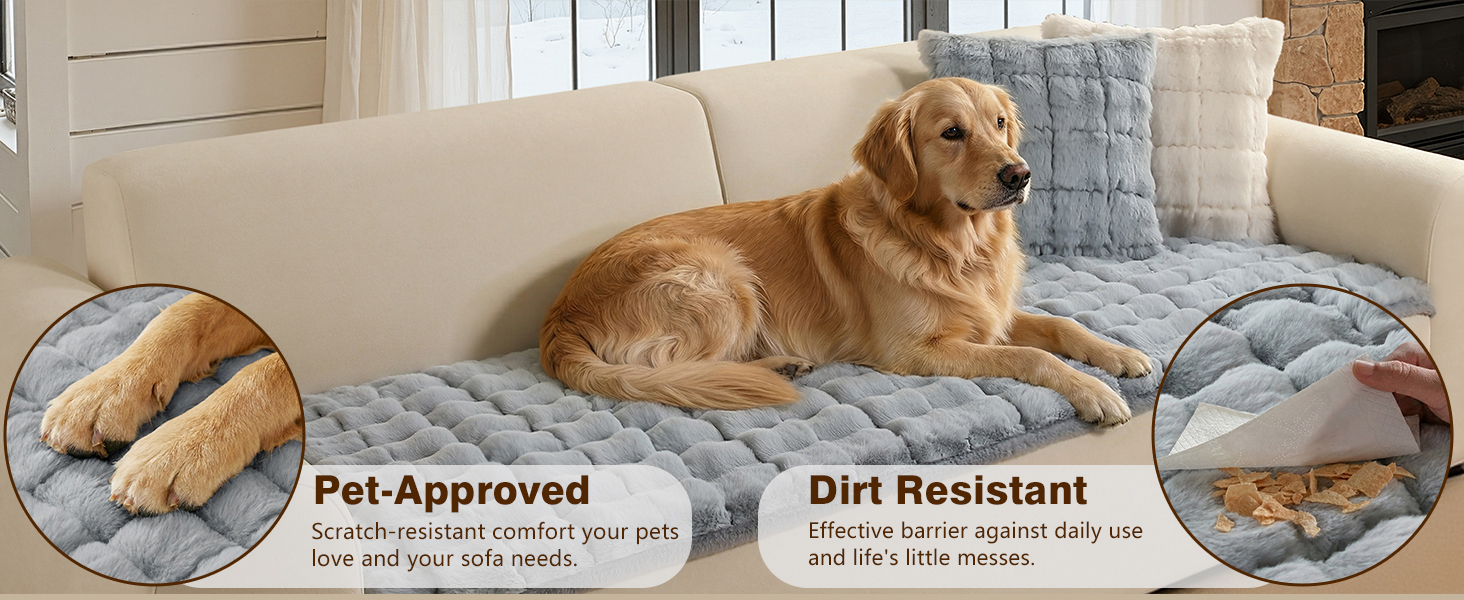sofa cover for dog