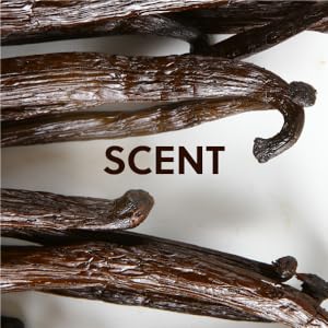 Coco Colada scent