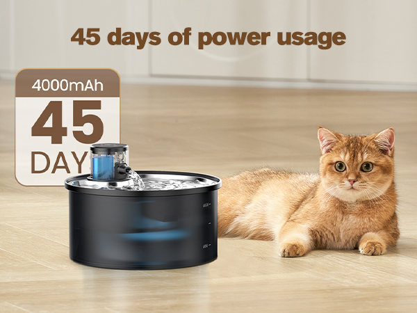 cat water fountain