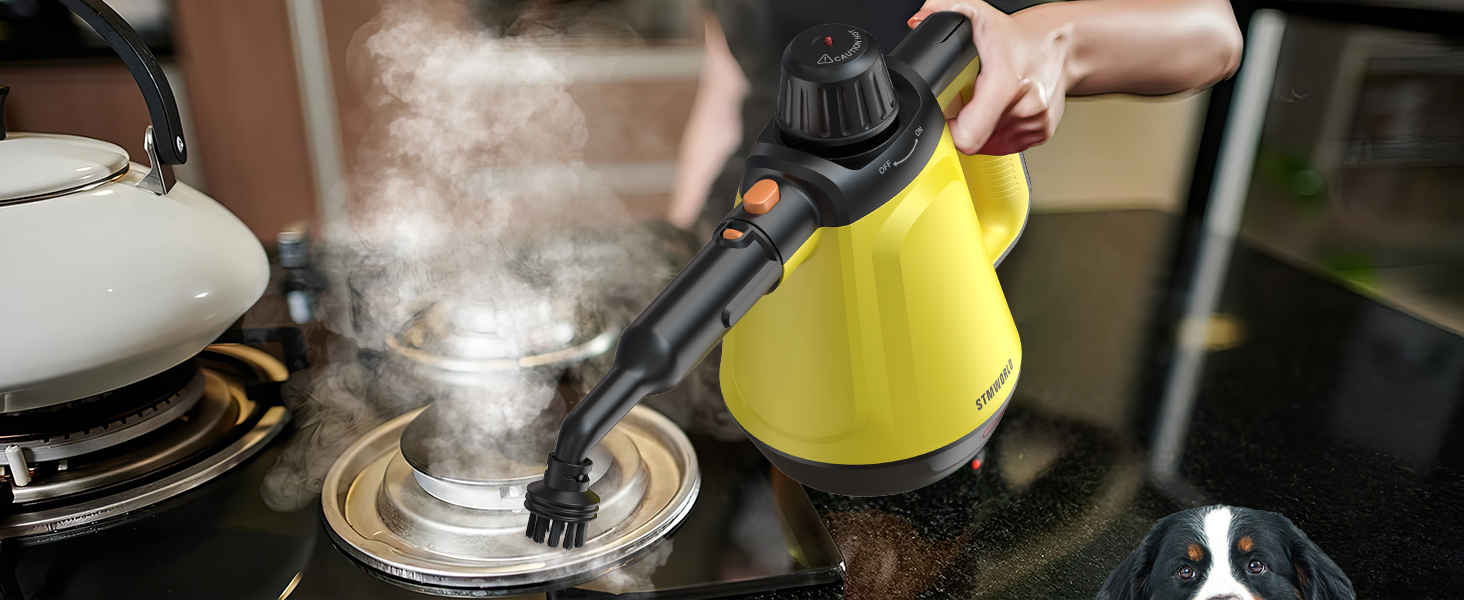 steam cleaner