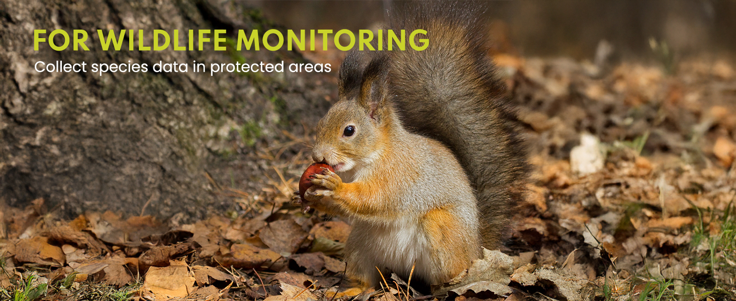 trail cameras with night vision motion activated waterproof