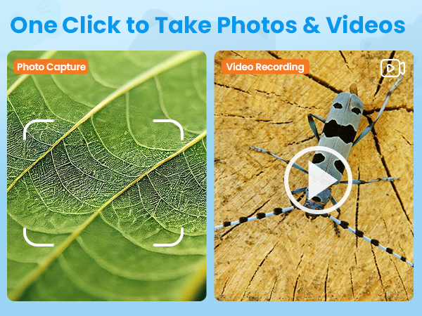 Text reads 'One Click to Take Photos &amp; Videos'. Series of nature photography samples showing spiderweb on leaf and wood texture with camera interface overlay.