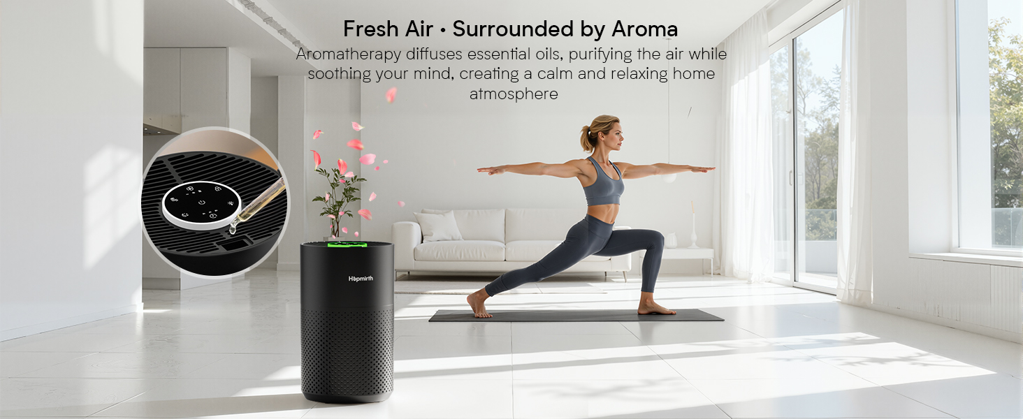 hepa air purifiers for home