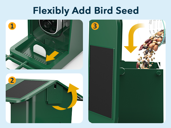 bird house with camera