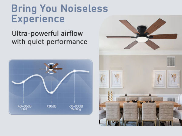 Ceiling Fans with Lights