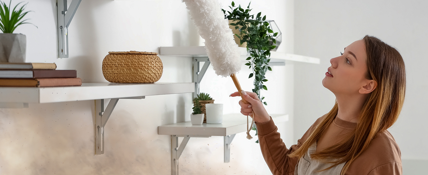 air purifier for dust