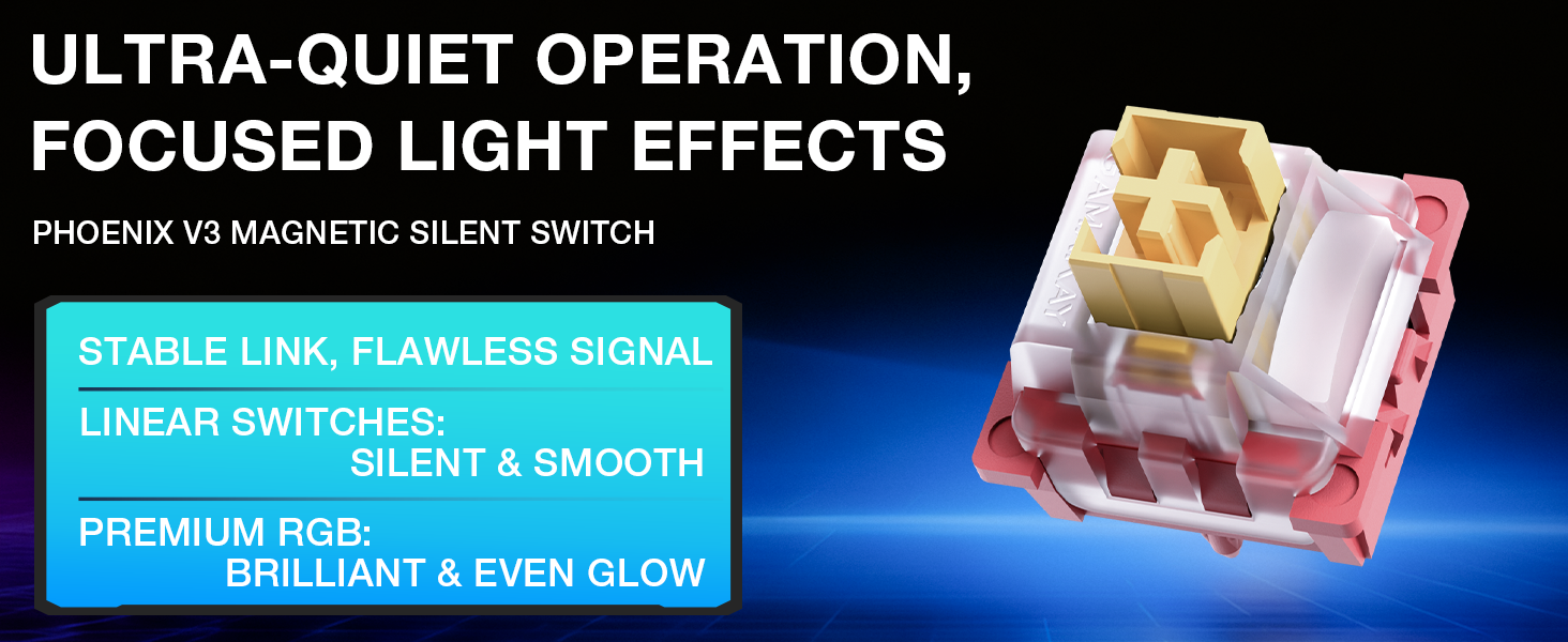 Magnetic Switch