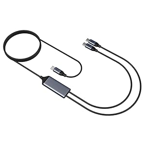 USB C to C Dual