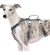 Huntboo Escape Proof Harness, No Slip Dog Harness Escape Proof, Fully Reflective Harness with Han...