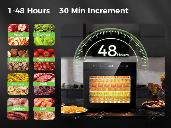food dehydrator jerky