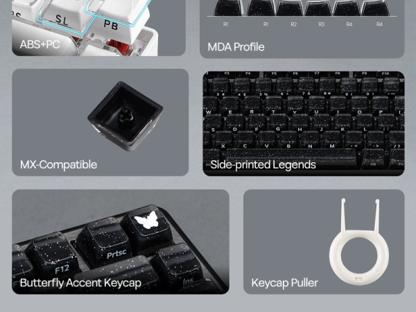 Lusterfly jelly kecaps set