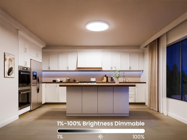 Smart Ceiling Light