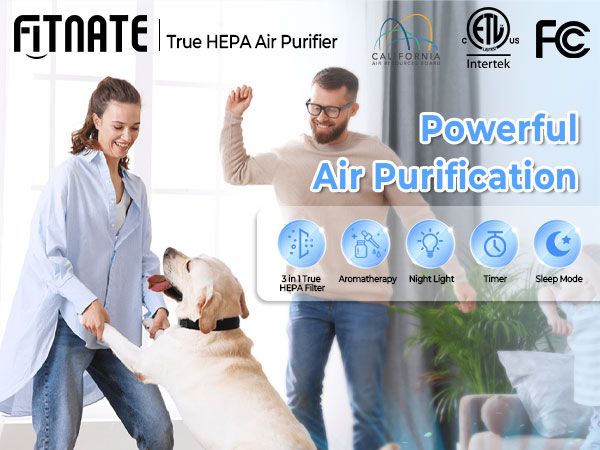air purifiers for home