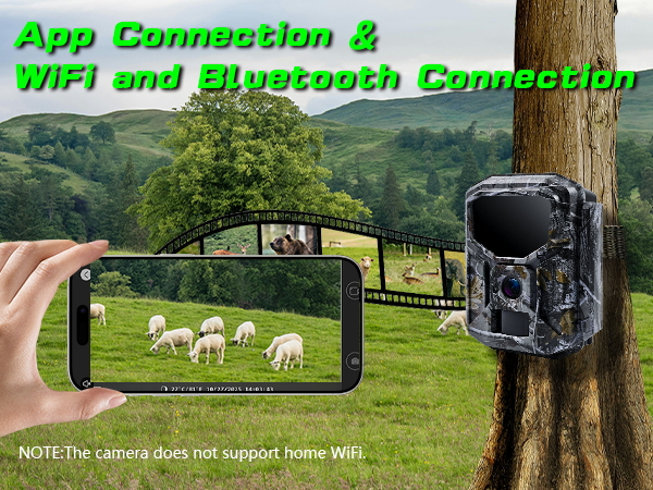 App Connection &amp;amp; WiFi and Bluetooth Connection