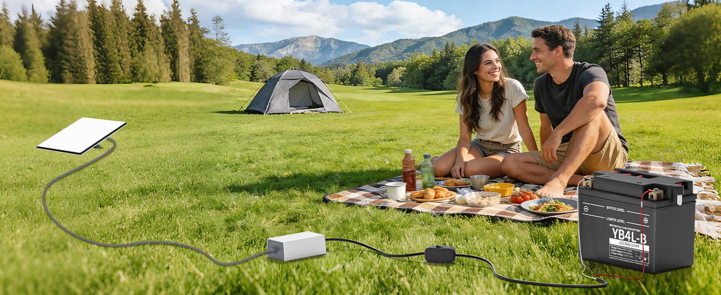 starlink mini 12v battery cable