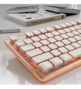 SEUNKWANG EWEADN GX710S Backlit Computer Keyboards, Wired USB Keyboard with Warm Backlit, Metal P...