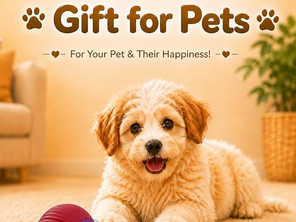 Gift for pets