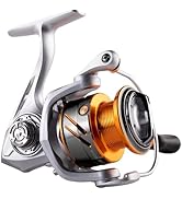 TC Spinning Reels Fishing Reels CNC Aluminum Spool 5.2:1 Gear Ratio 9+1Ball Bearings Light Weight...
