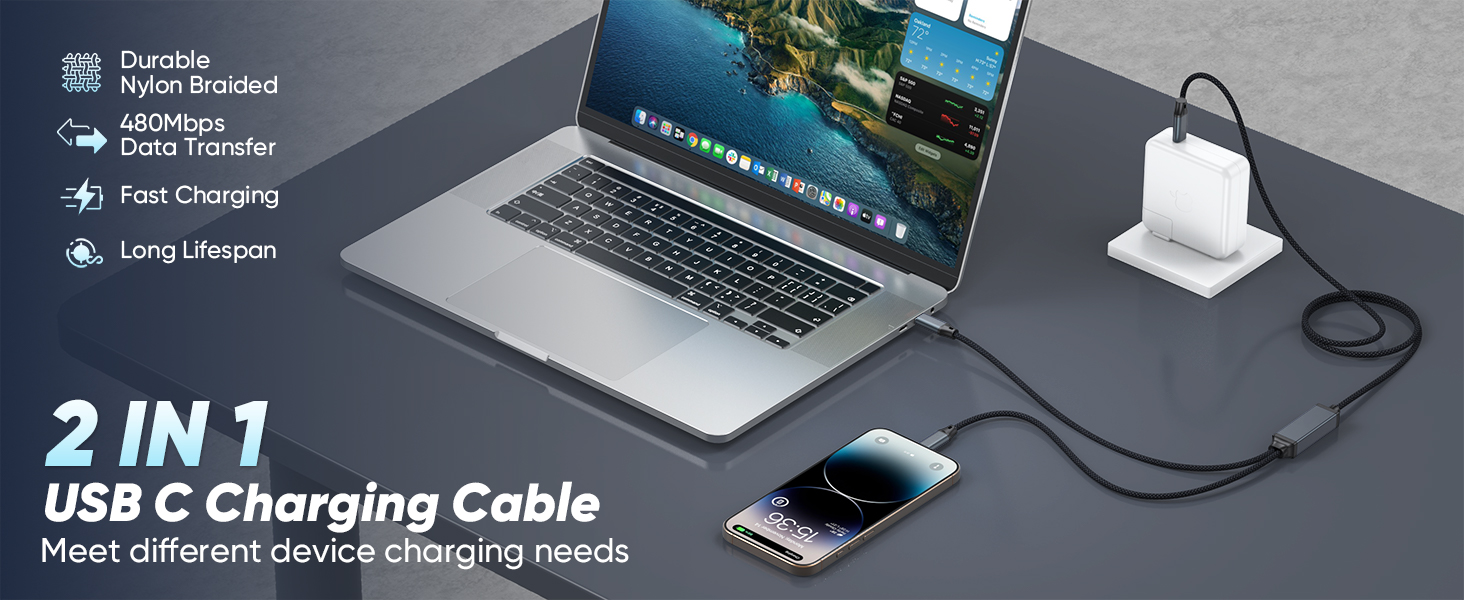 dual usb c cable