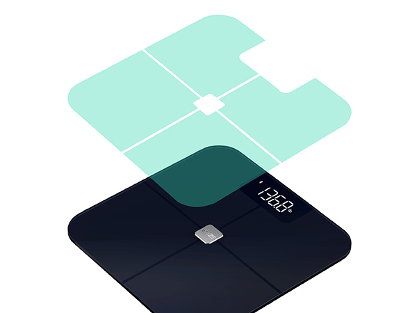 Scale for body weight