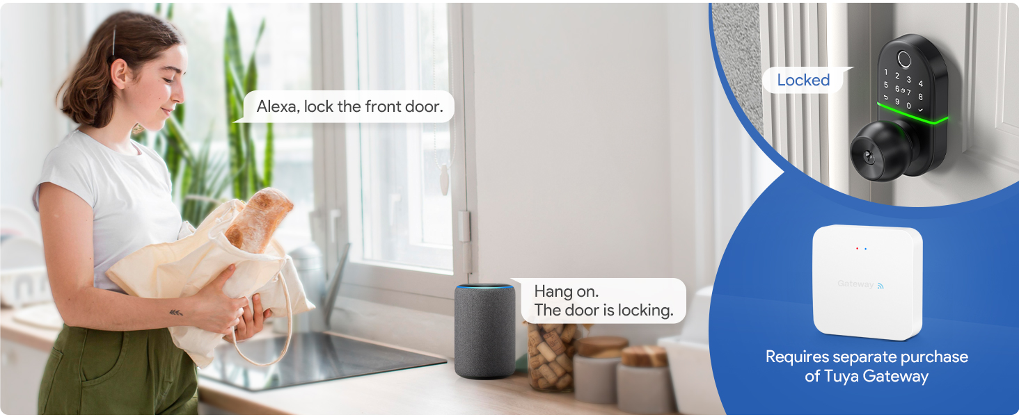 voice control