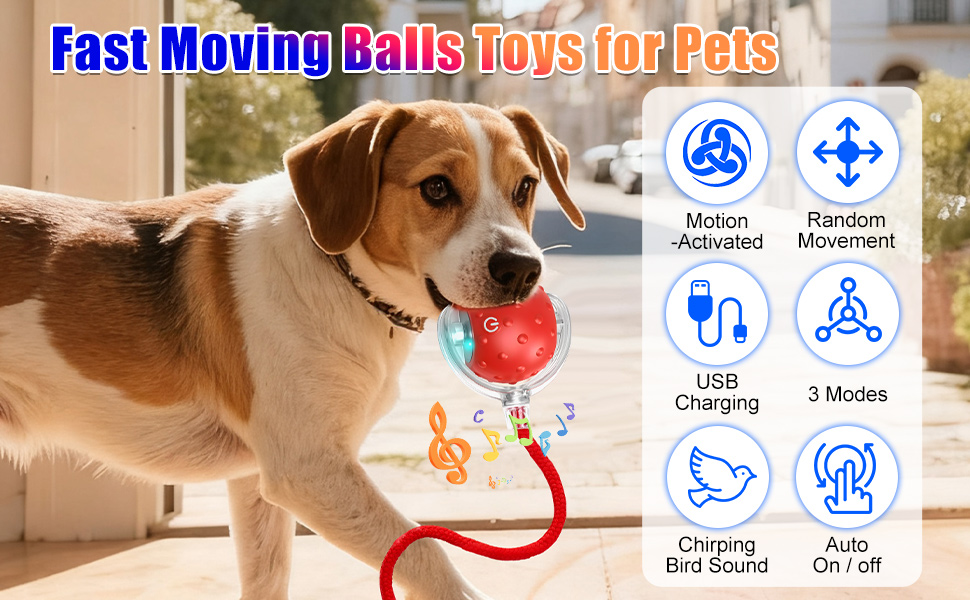 Interactive Dog Cat Toys Balls with Birdsong, Rechargeable Fast Moving Balls Toys for Pets