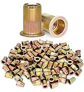 Trivd Frol 100Pcs 1/4"-20 UNC Rivet Nuts, Zinc Plated Carbon Steel Threaded Rivet Insert Nutsert ...