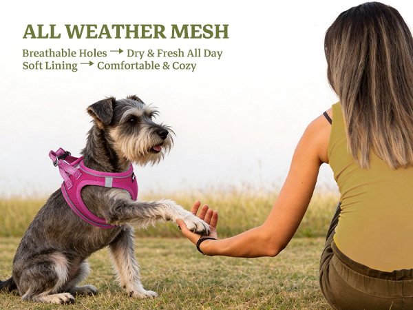 ALL WEATHERMESH