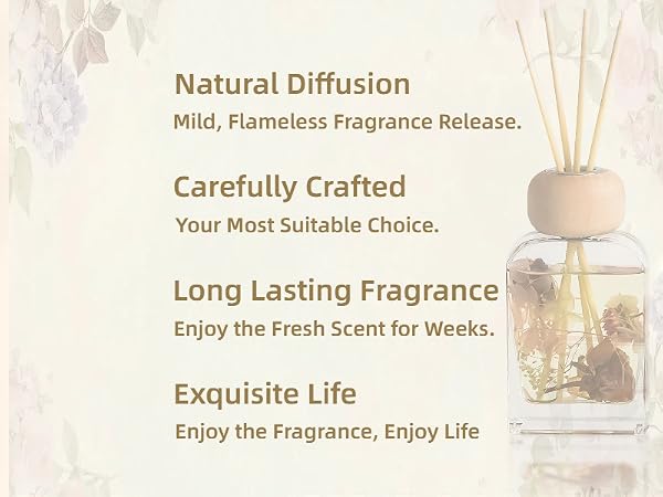 Reed Diffuser Set