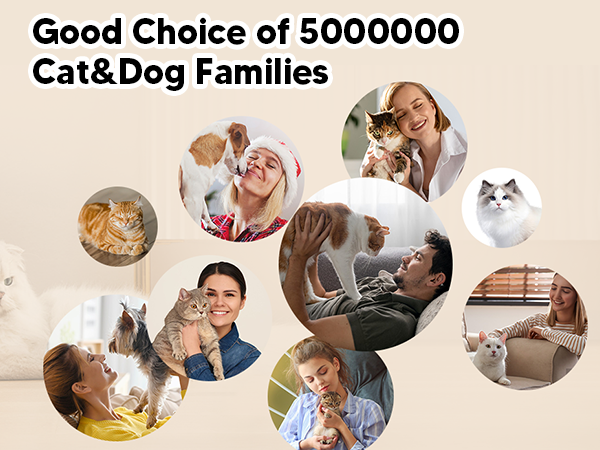 cat fountains for drinking