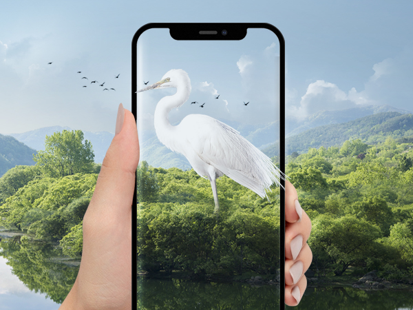 Original Color Display