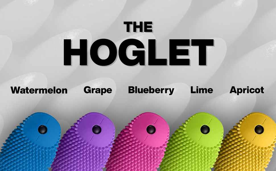 An innovative fidget created for unique learners. ?The Hoglet