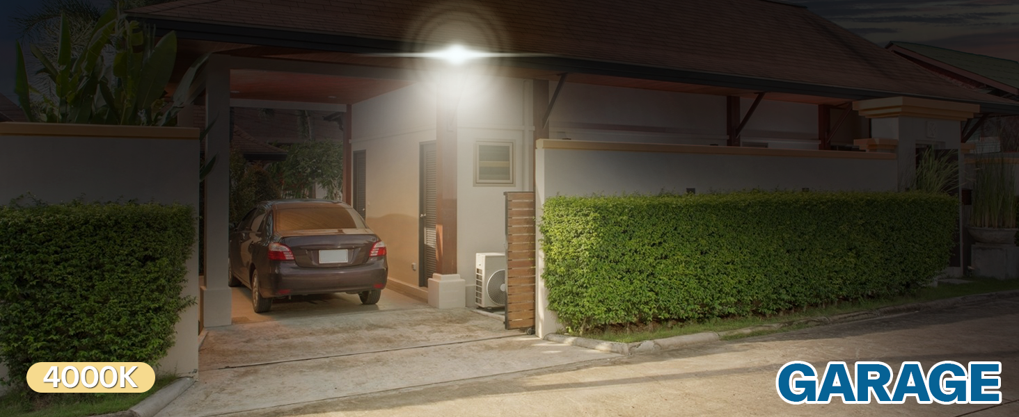 Flood Light