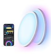 Govee Smart Ceiling Light, RGBIC LED Ceiling Light Fixture, 2400LM Flush Mount Light Fixture, DIY...