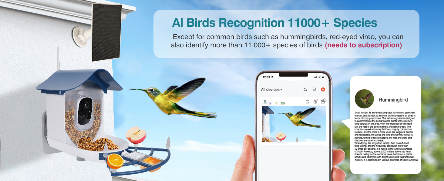 AI Birds Recognition