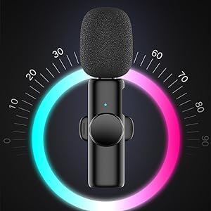 Mini Mic