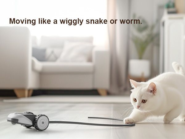Interactive Cat Toy