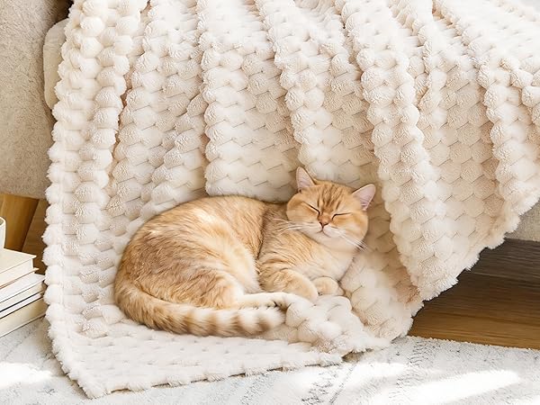 cozy blanket