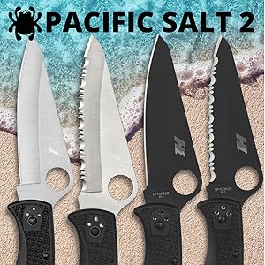 Pacific Salt 2