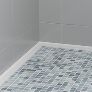 Shower Threshold Water Dam