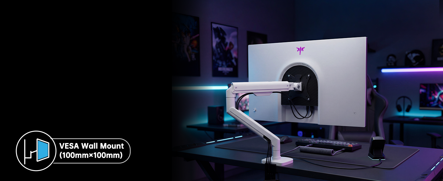 vesa wall mount monitor